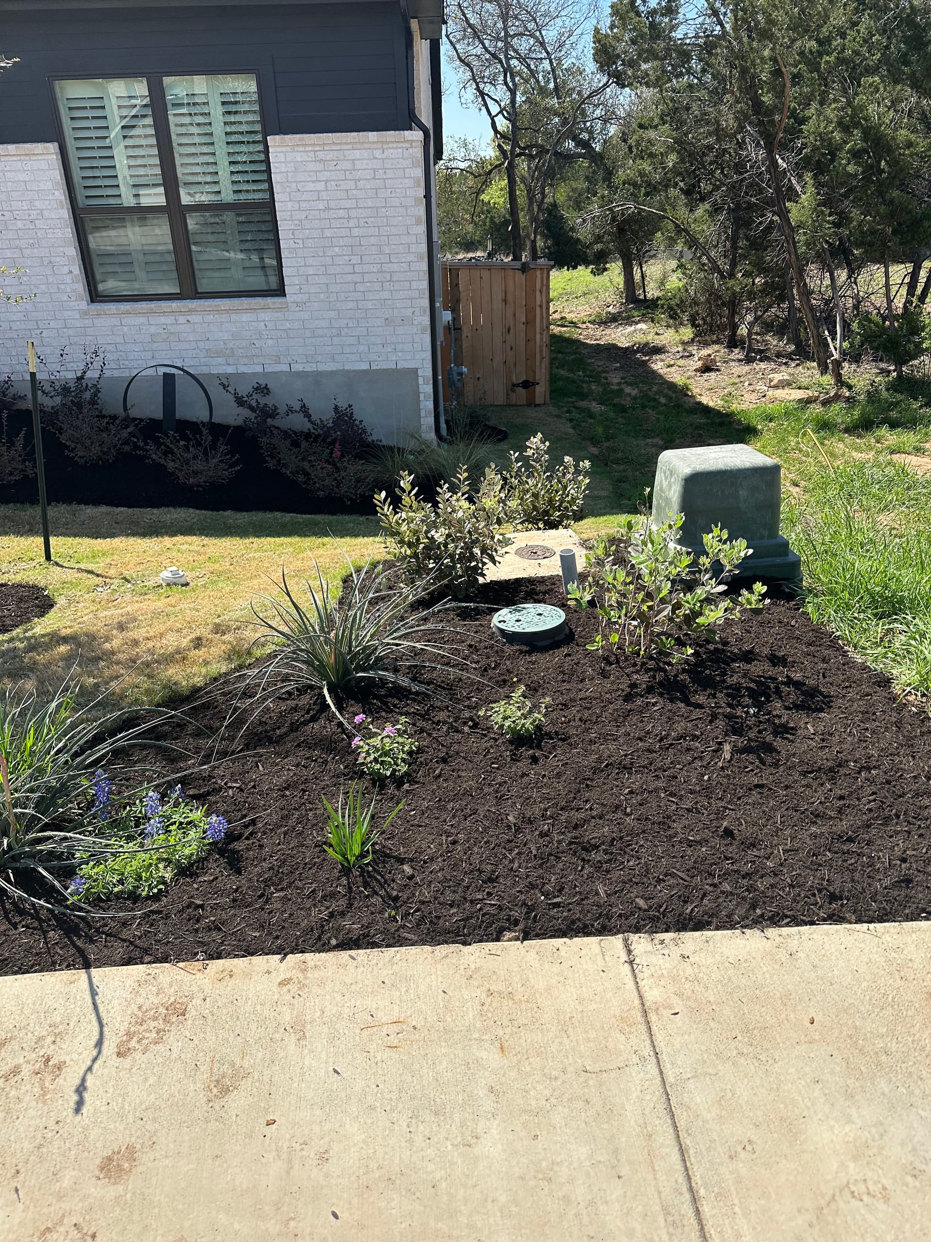 Fresh Black Mulch Adds a Touch of Elegance image