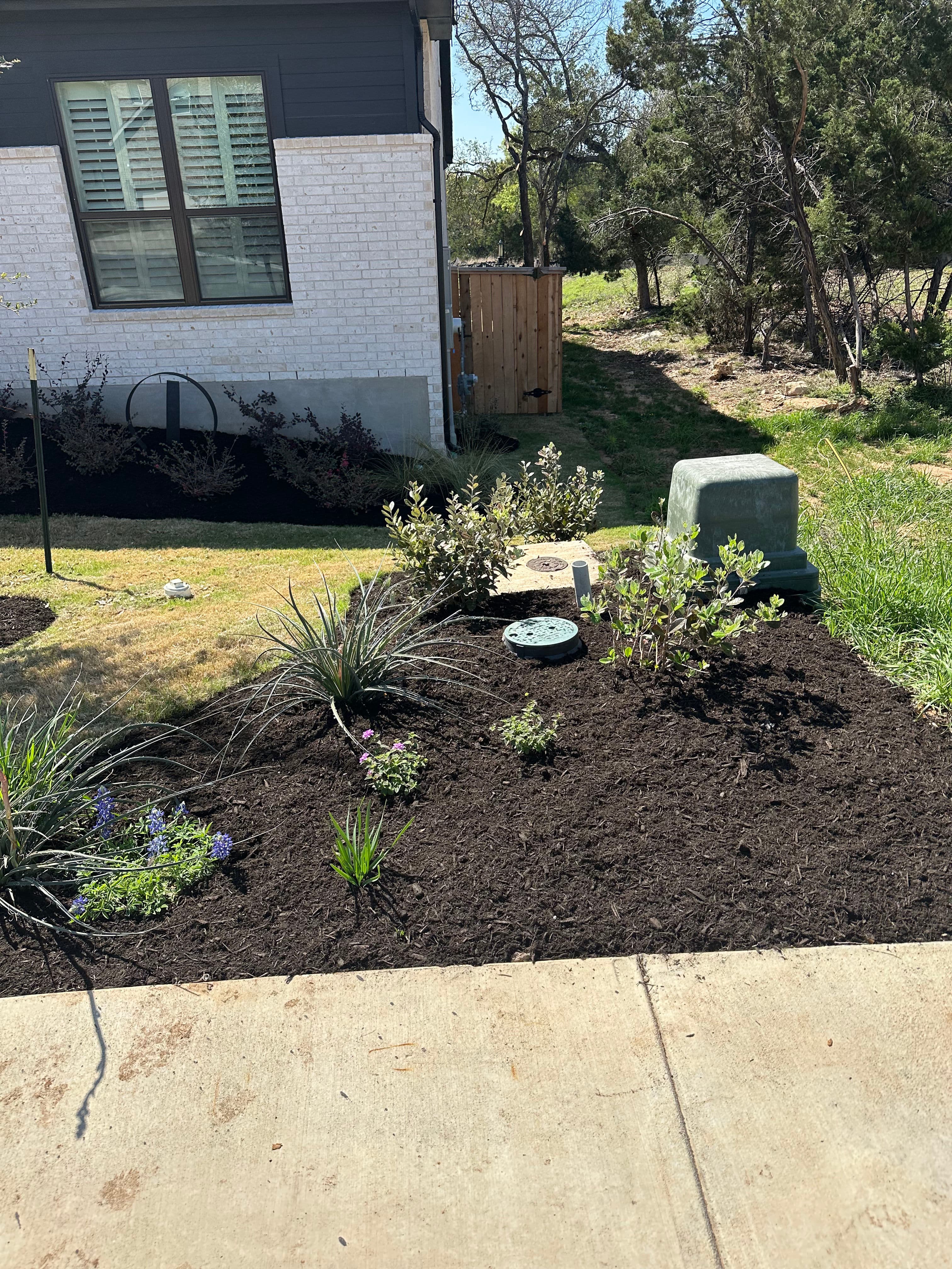 Project Fresh Black Mulch Adds a Touch of Elegance image