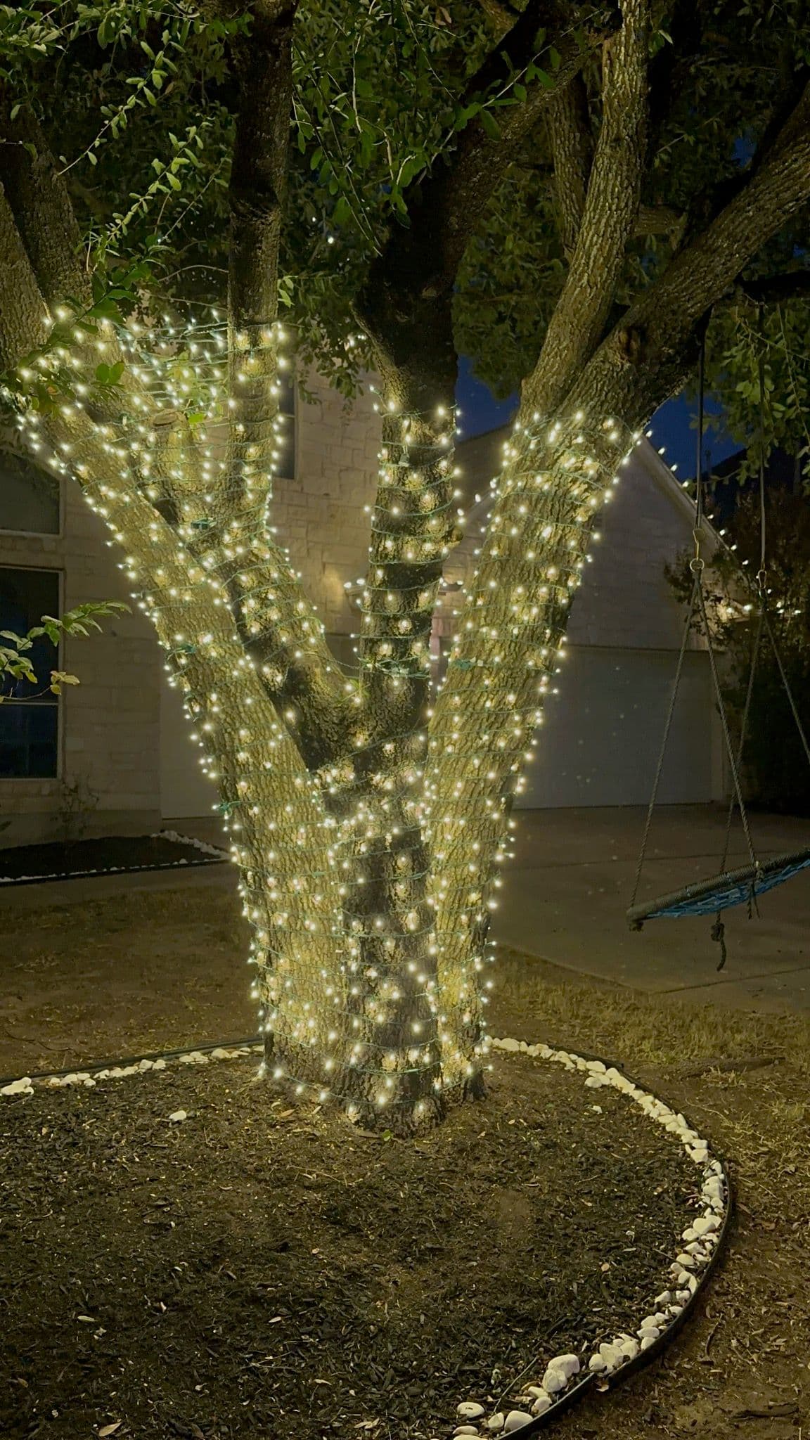 Project Transform Your Yard with Stunning Christmas Tree Lights image