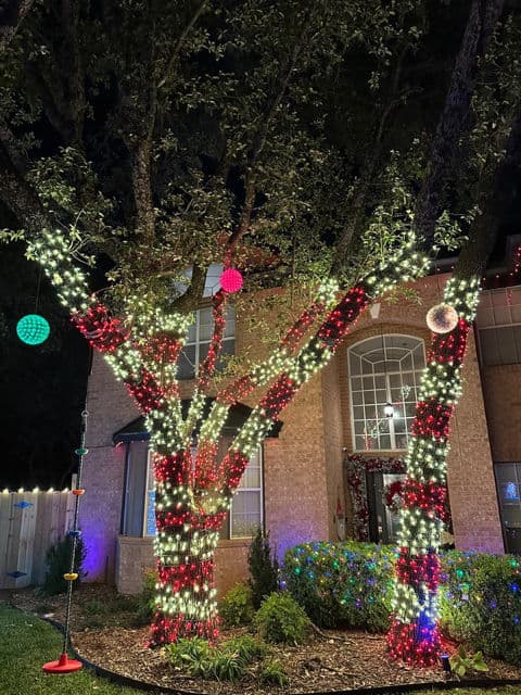 Project Brighten Your Holidays with Colorful Trees image