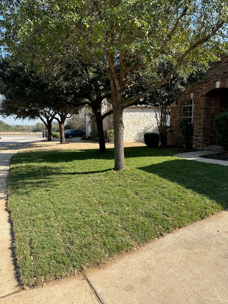 Refreshing Lawn Upgrade with Sod Installation image