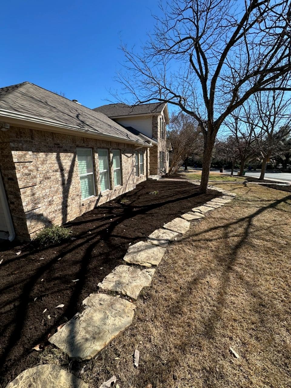 Spring-Ready Yard Transformation in Austin image