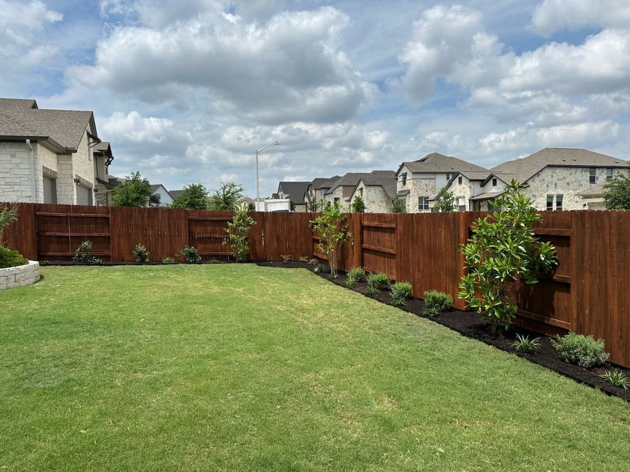 Transform Your Yard into a Lush Green Oasis image