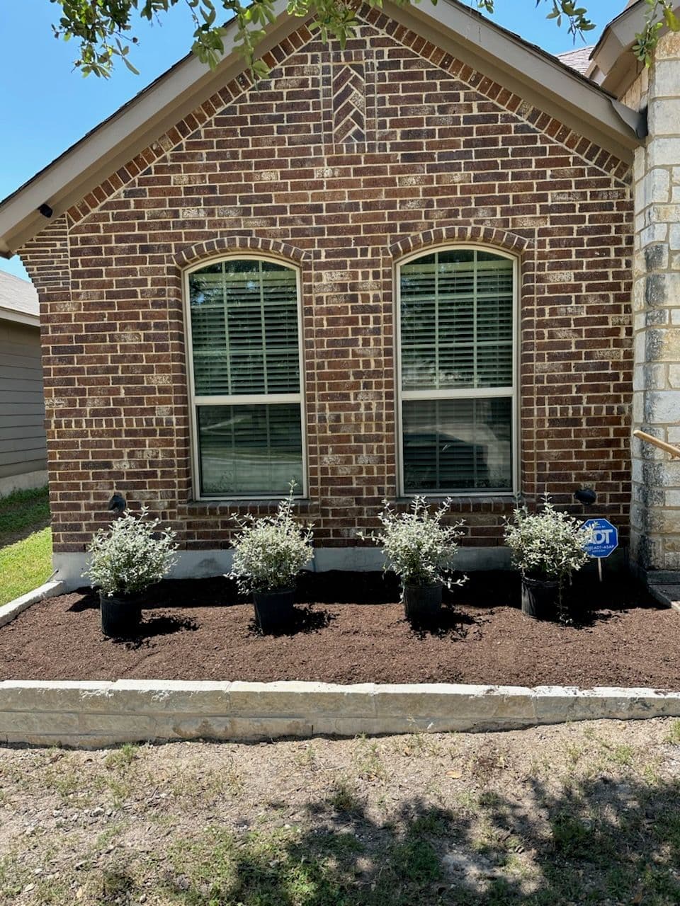 Revitalizing Curb Appeal in Suburban Garden image