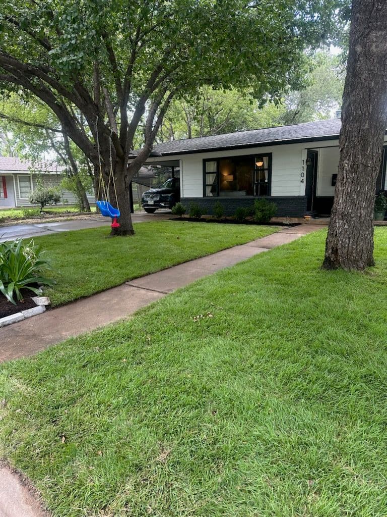 Fresh Sod Installation for Vibrant Lawn image