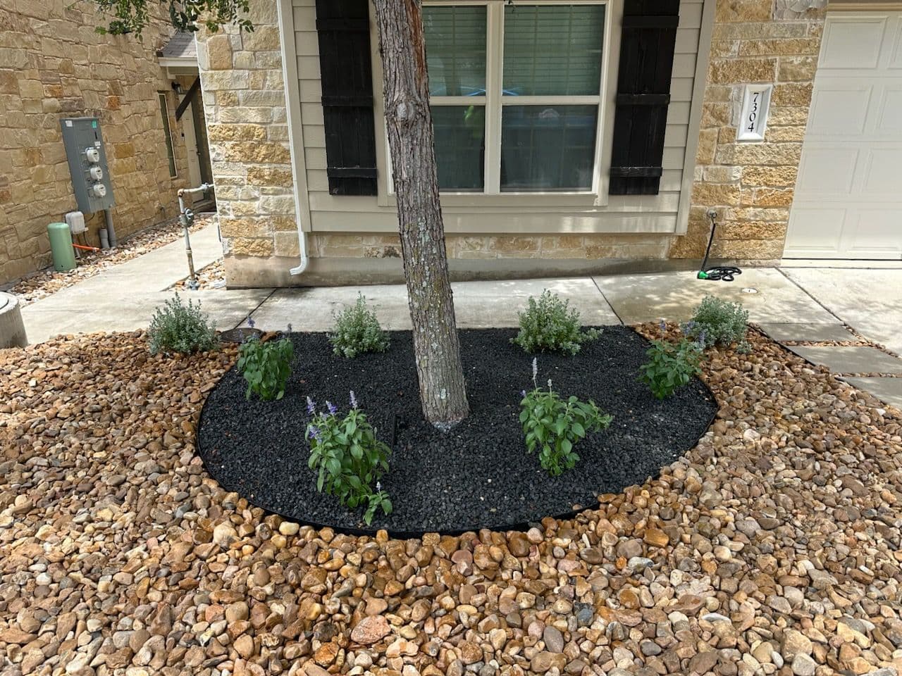 Project Transformative Xeriscaping Project Showcased image