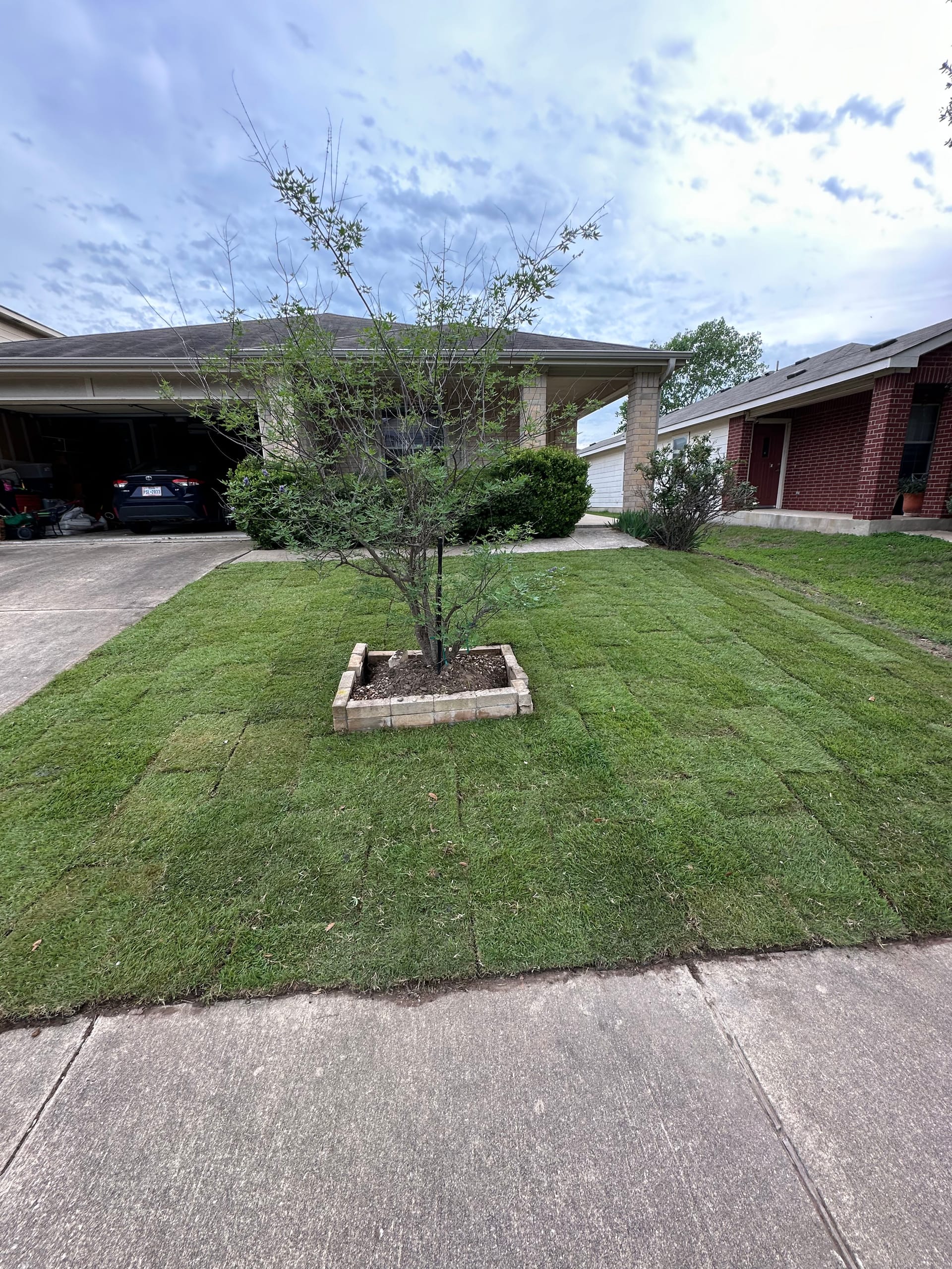 Premium Zoysia Sod Installation in Austin