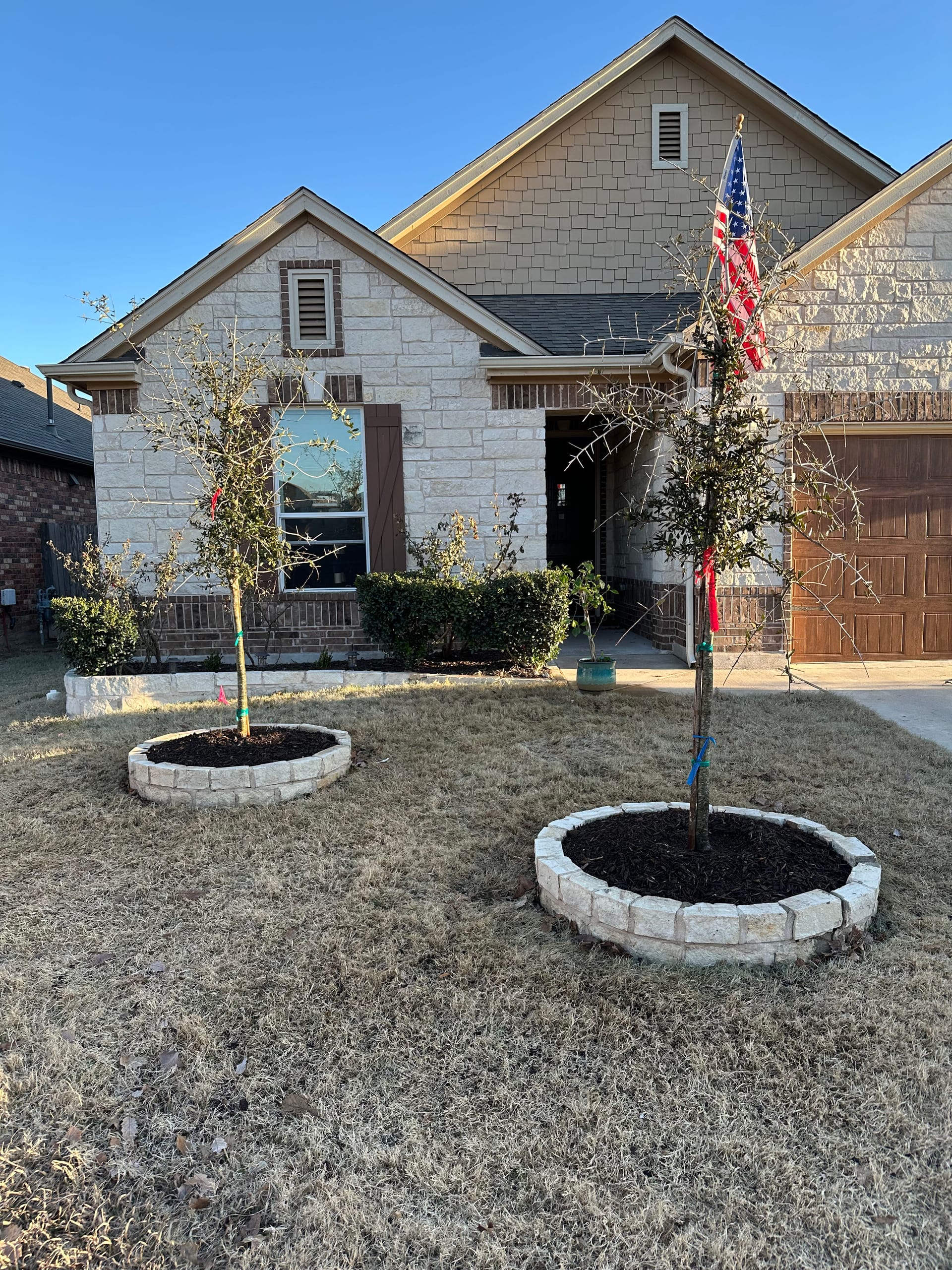 New Live Oak Trees Add Charm to Leander Home