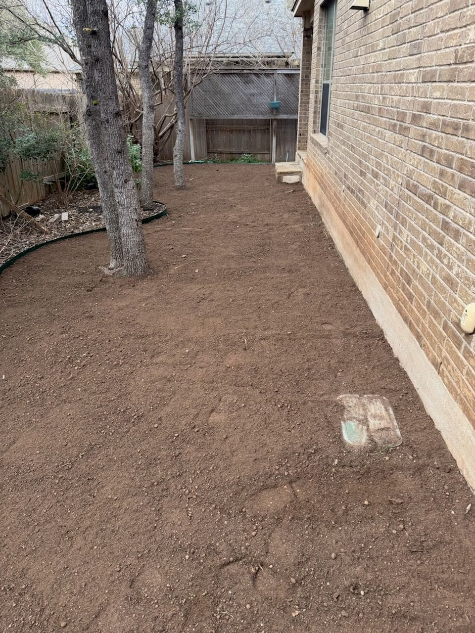 Experience the Power of Premium Soil