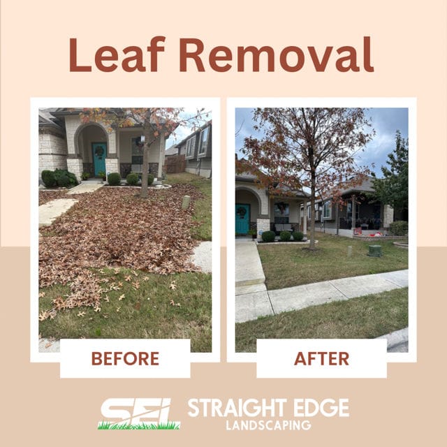 Leaf Clean-Up Project in Leander