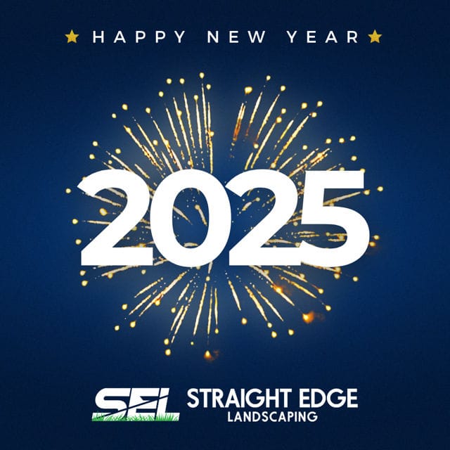 New Year Greeting 2025