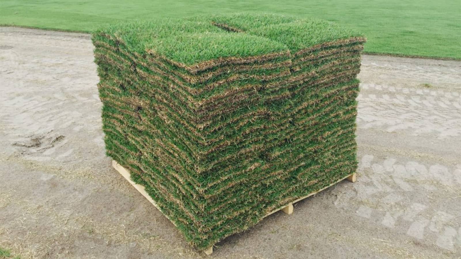 Bermuda Sod Installation