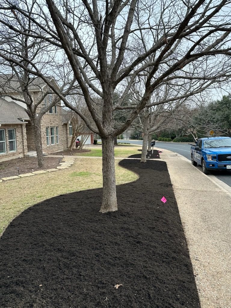 Mulch Installation for Improved Curb Appeal