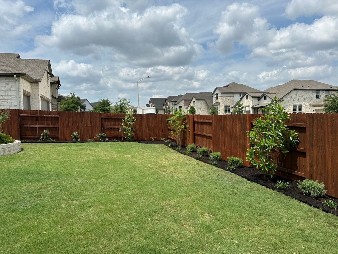 Transform Your Yard into a Lush Green Oasis