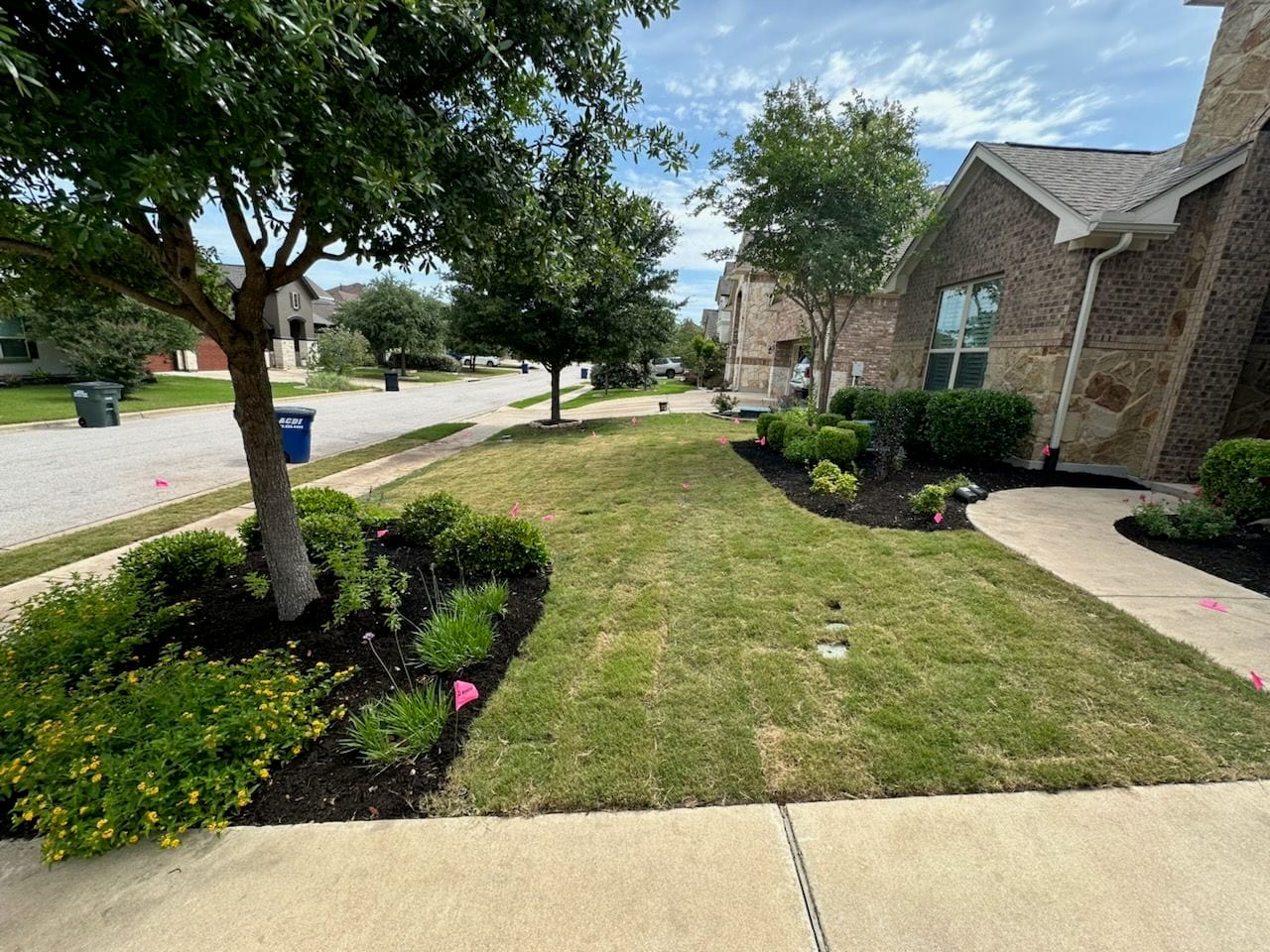 Front Yard Transformation with New Sod and Mulch