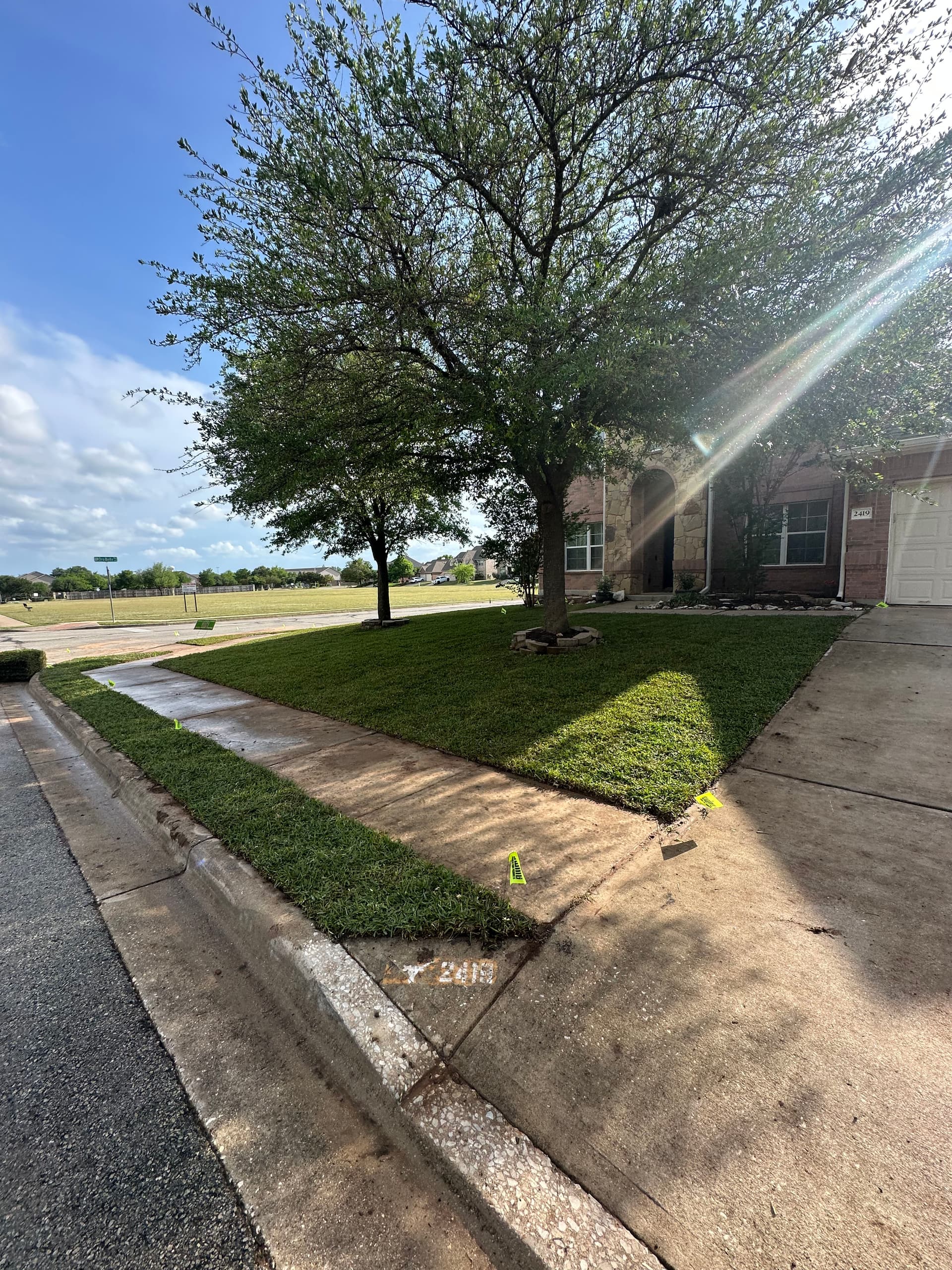 Fresh St. Augustine Sod Installation in Leander TX image